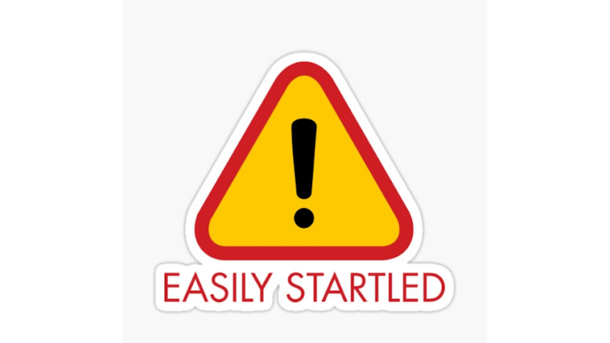 Art Design: Facing Fears.