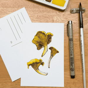Paint A Chanterelle Mushroom in Watercolor March 17th