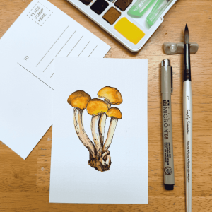 Painting Conifer Tuft Mushroom in Watercolor March 10th