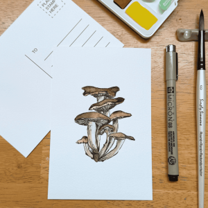 Painting Fried Chicken Mushrooms in Watercolor March 24th