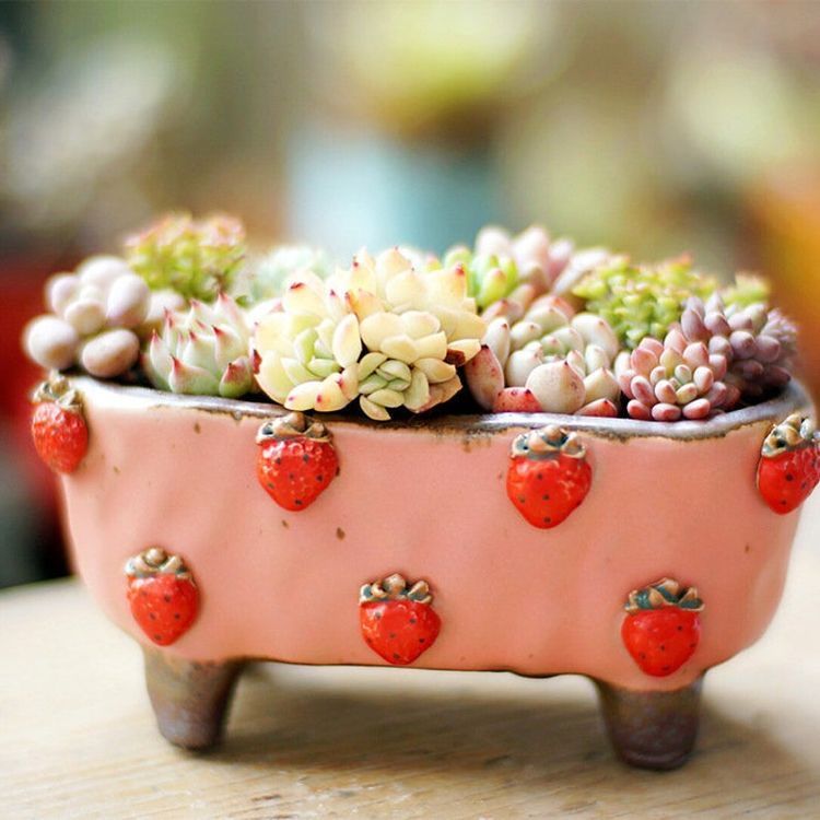 Spring Succulent Pot Pottery – Parent & Child Clay Workshop April 18th