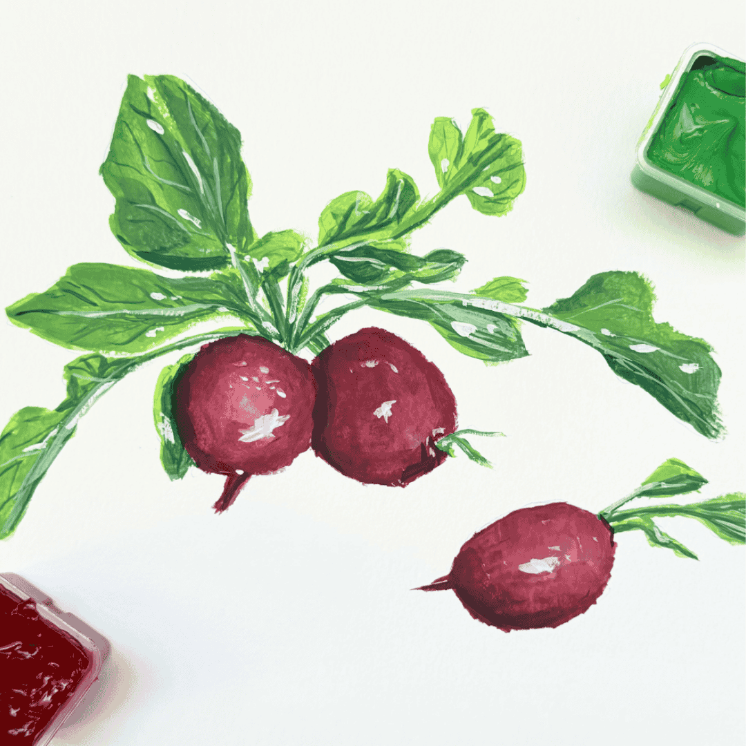 Loosely paint red turnips with Gouache April 7th