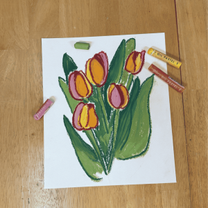 Drawing Flowers From Life