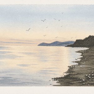 Landscape Horizons: Watercolour & Pencil Crayon Workshop June 8th