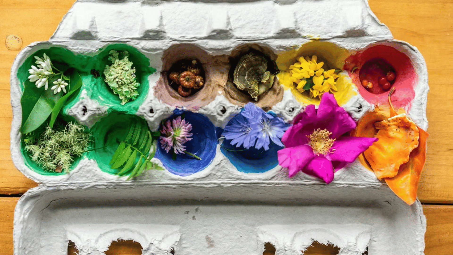 Spring Time Adventures: Nature Rainbow Walk